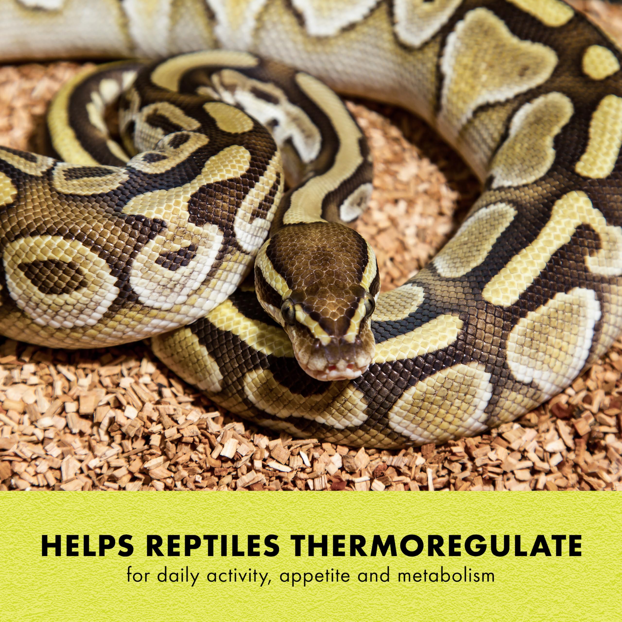 Zilla Heat Mat provides uniform heat distribution across its surface.