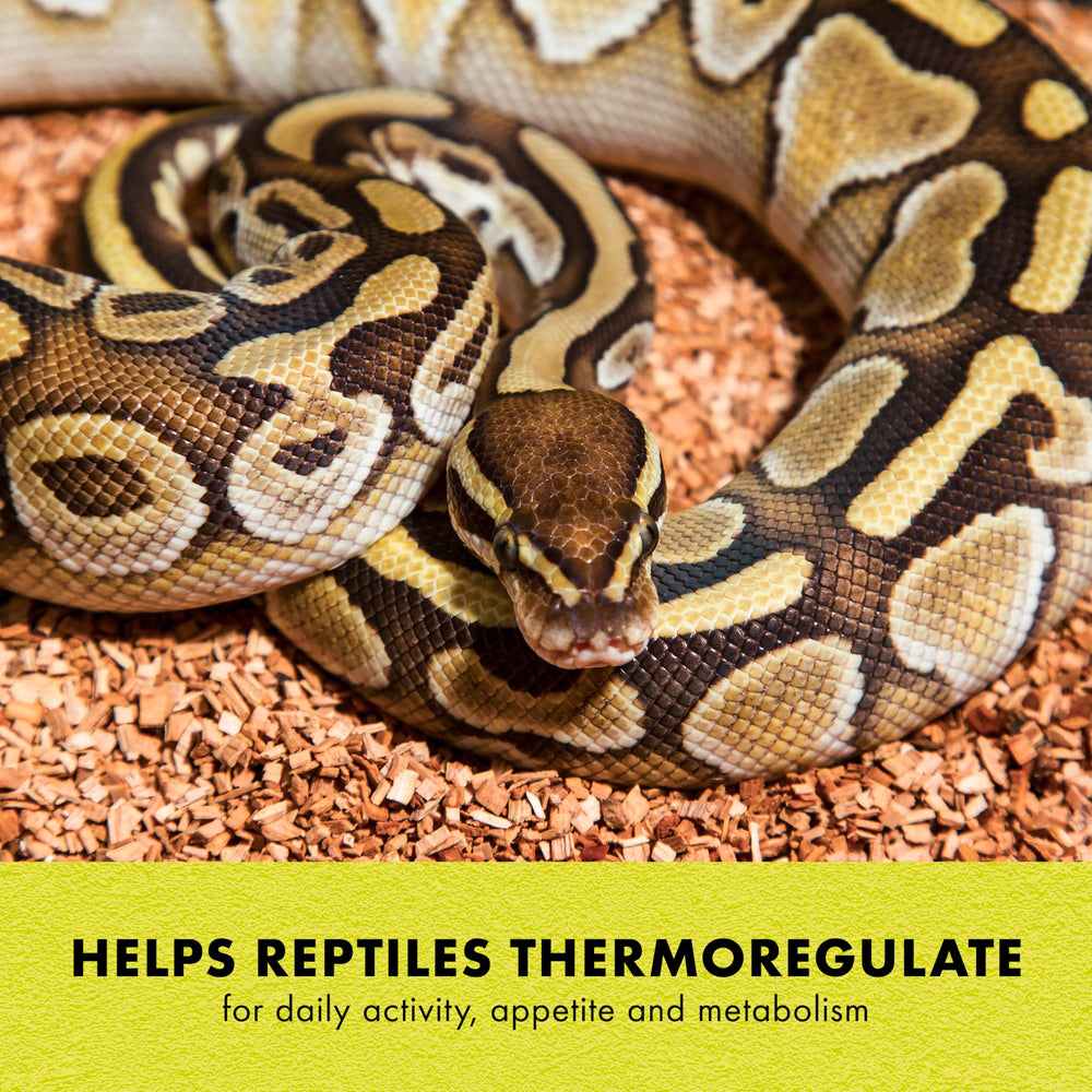 Zilla Heat Mat provides uniform heat distribution across its surface.