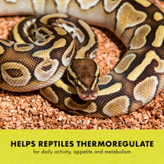 Zilla Heat Mat provides uniform heat distribution across its surface.