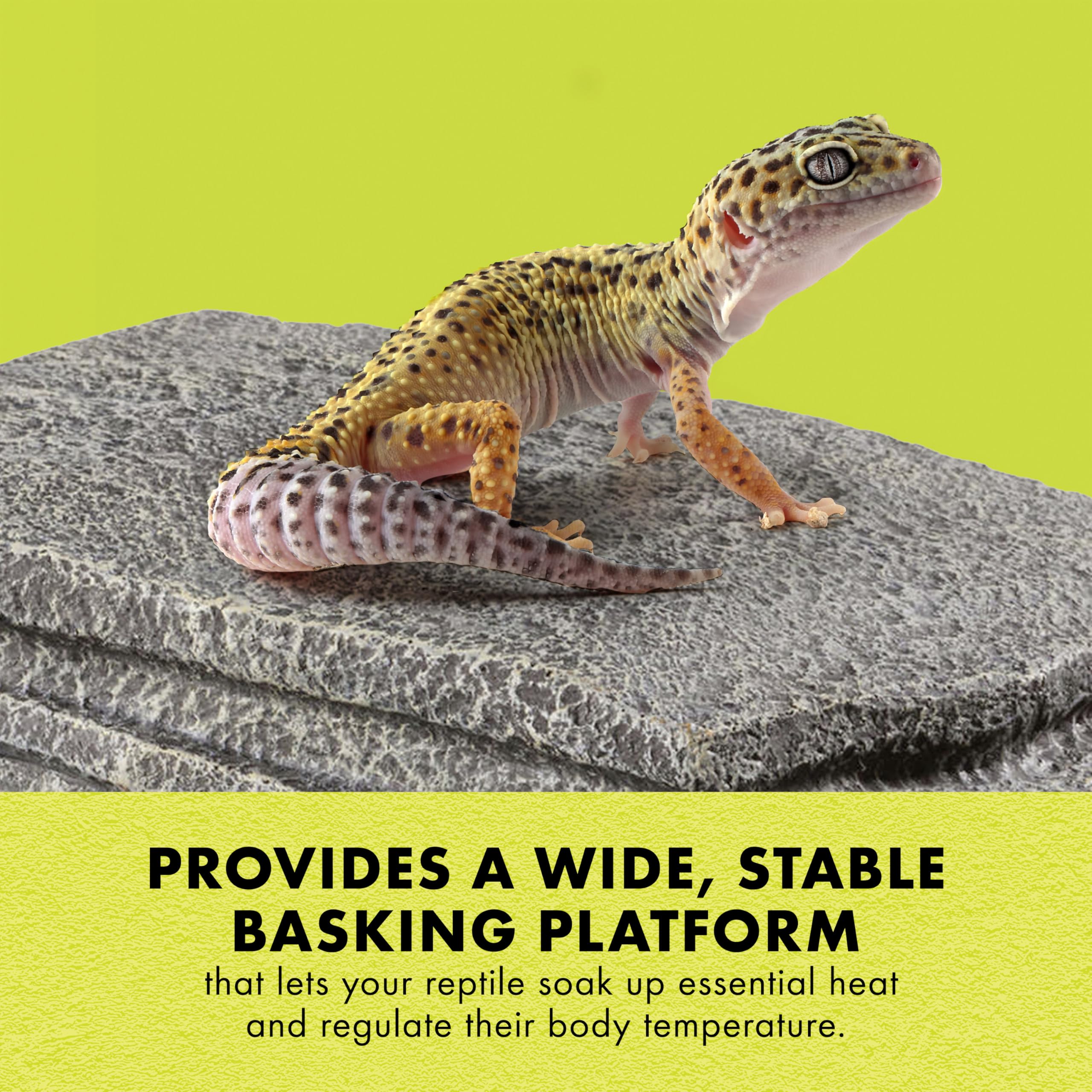 Zilla Herp Hotel shallow steps enable simple climbs.