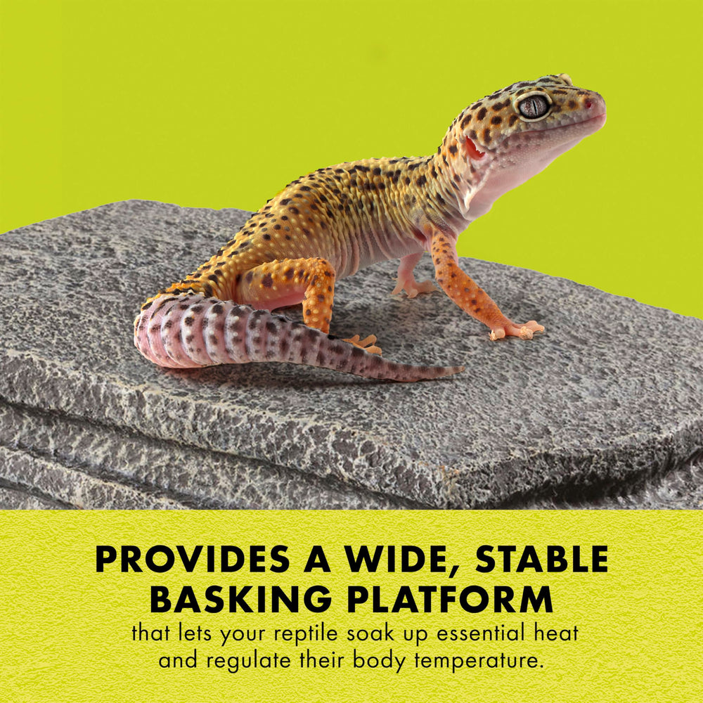 Zilla Herp Hotel shallow steps enable simple climbs.