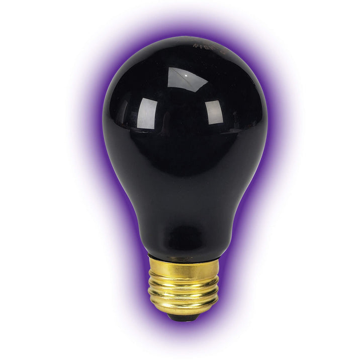 Zilla Night Black Heat 50W bulb shown in terrarium for observing nocturnal behavior.