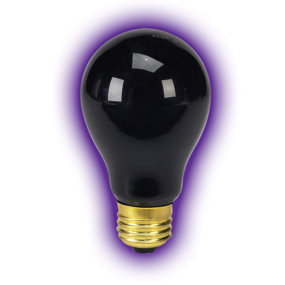 Zilla Night Black Heat 50W bulb shown in terrarium for observing nocturnal behavior.