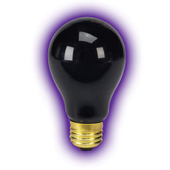 Zilla Night Black Heat 50W bulb shown in terrarium for observing nocturnal behavior.