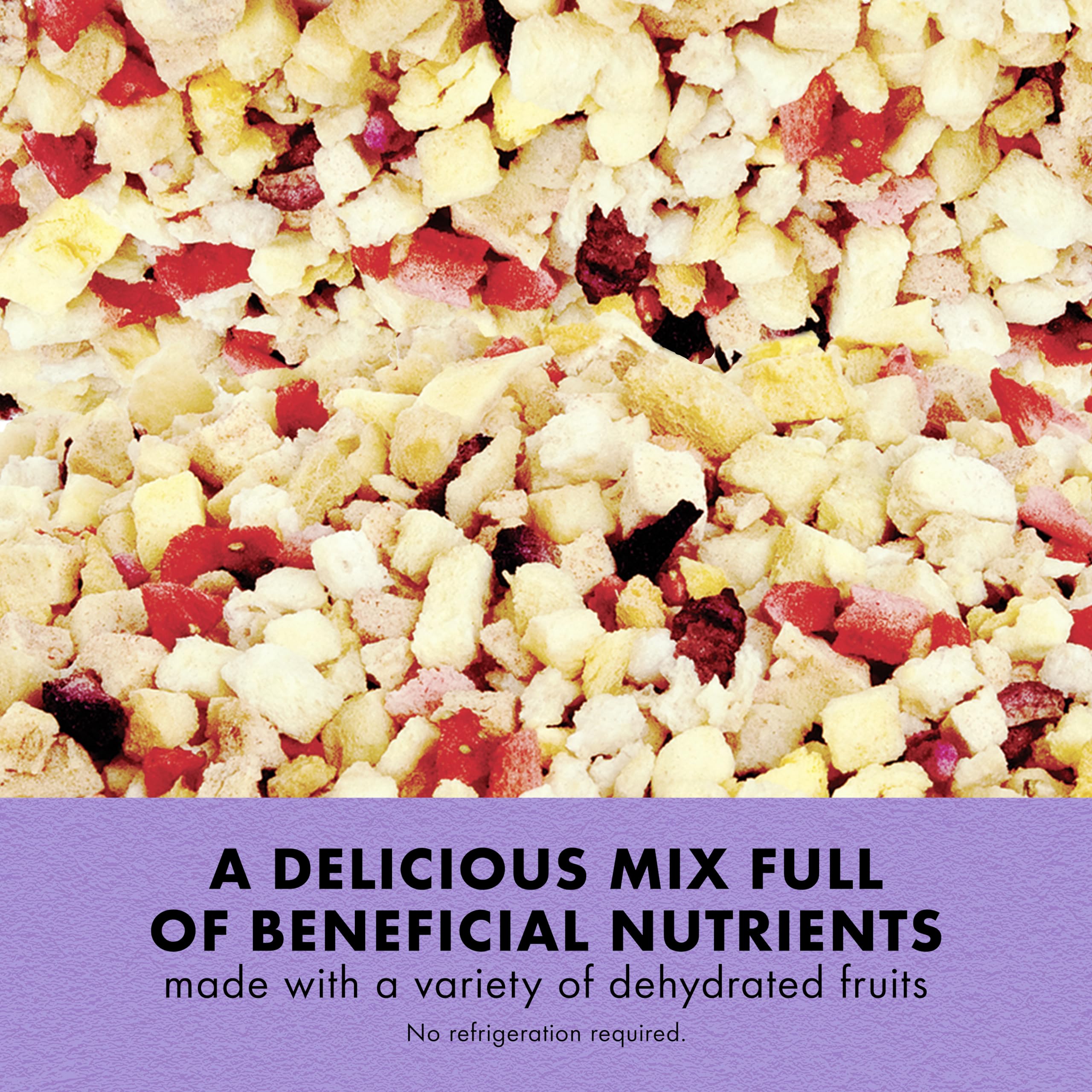 Zilla Reptile Munchies Fruit Mix supports blue tongued skinks with dehydrated fruit variety