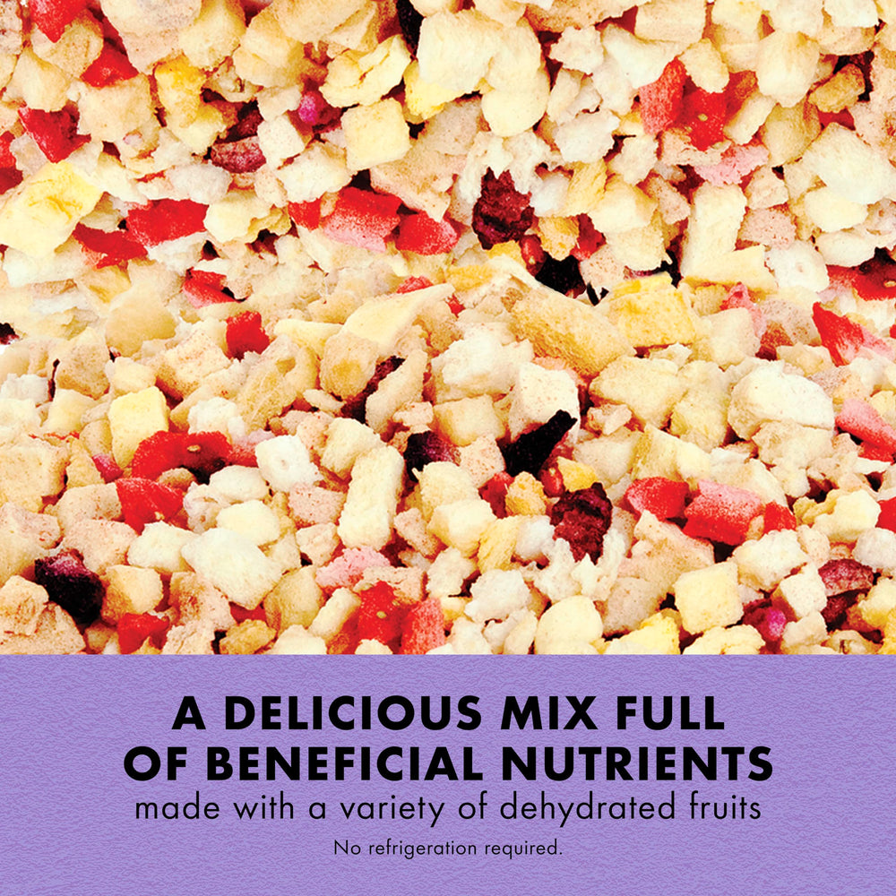Zilla Reptile Munchies Fruit Mix supports blue tongued skinks with dehydrated fruit variety