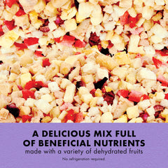 Zilla Reptile Munchies Fruit Mix supports blue tongued skinks with dehydrated fruit variety