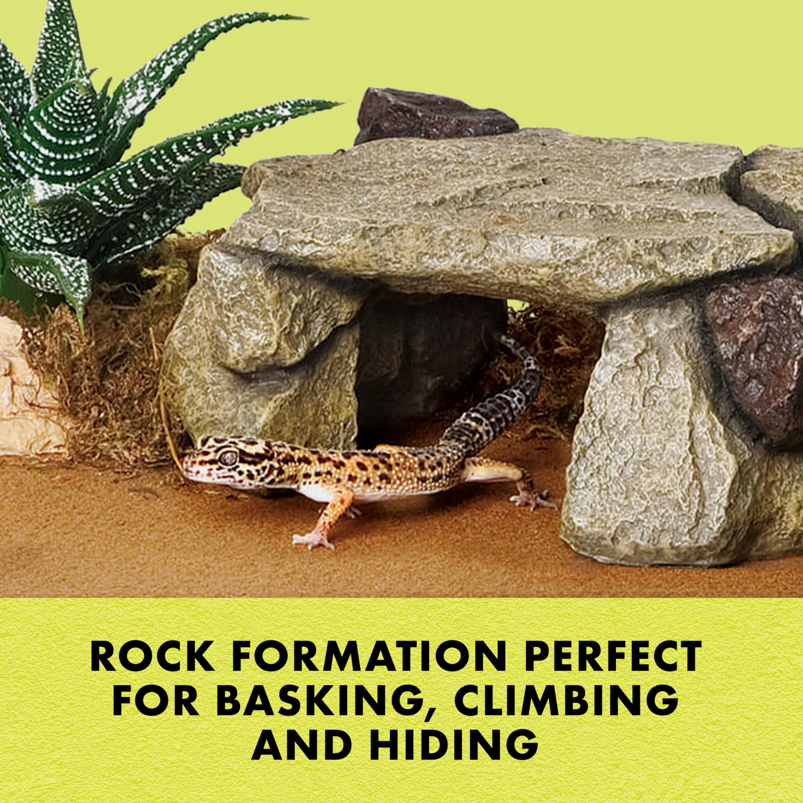 Zilla Shale Rock Den hidden niche provides secure retreat.