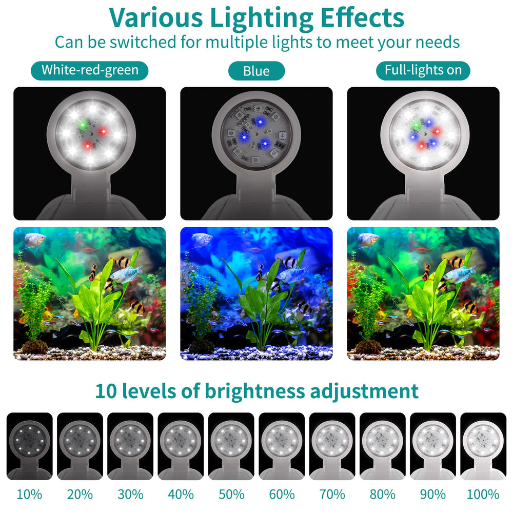 Zingbabu compact desk aquarium setup fits small spaces