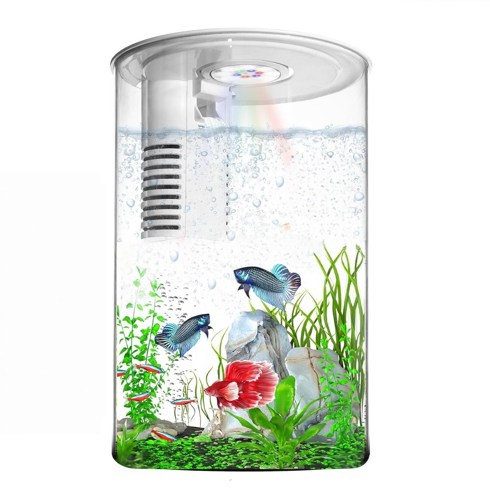 Zingbabu desktop fish tank 3gallon with LED light brightens your desk scene