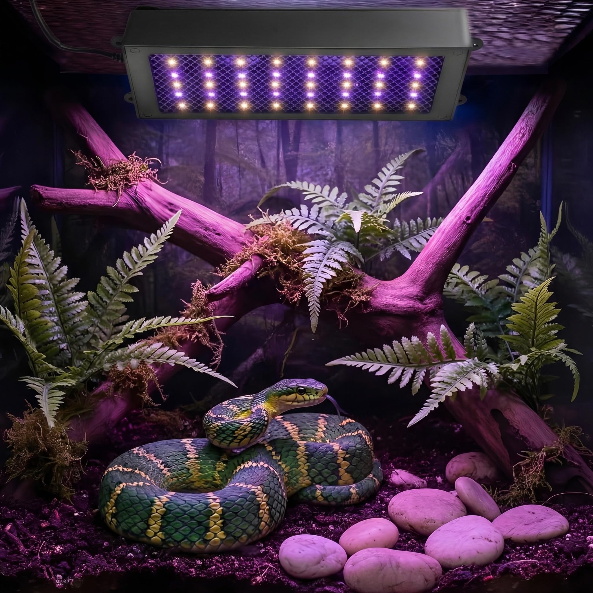 Zingbabu UVB Reptile Light 12,000+ hour lifespan supports long-term use.