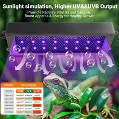 Zingbabu UVB Reptile Light side view highlights adjustable UVB output for calcium metabolism.