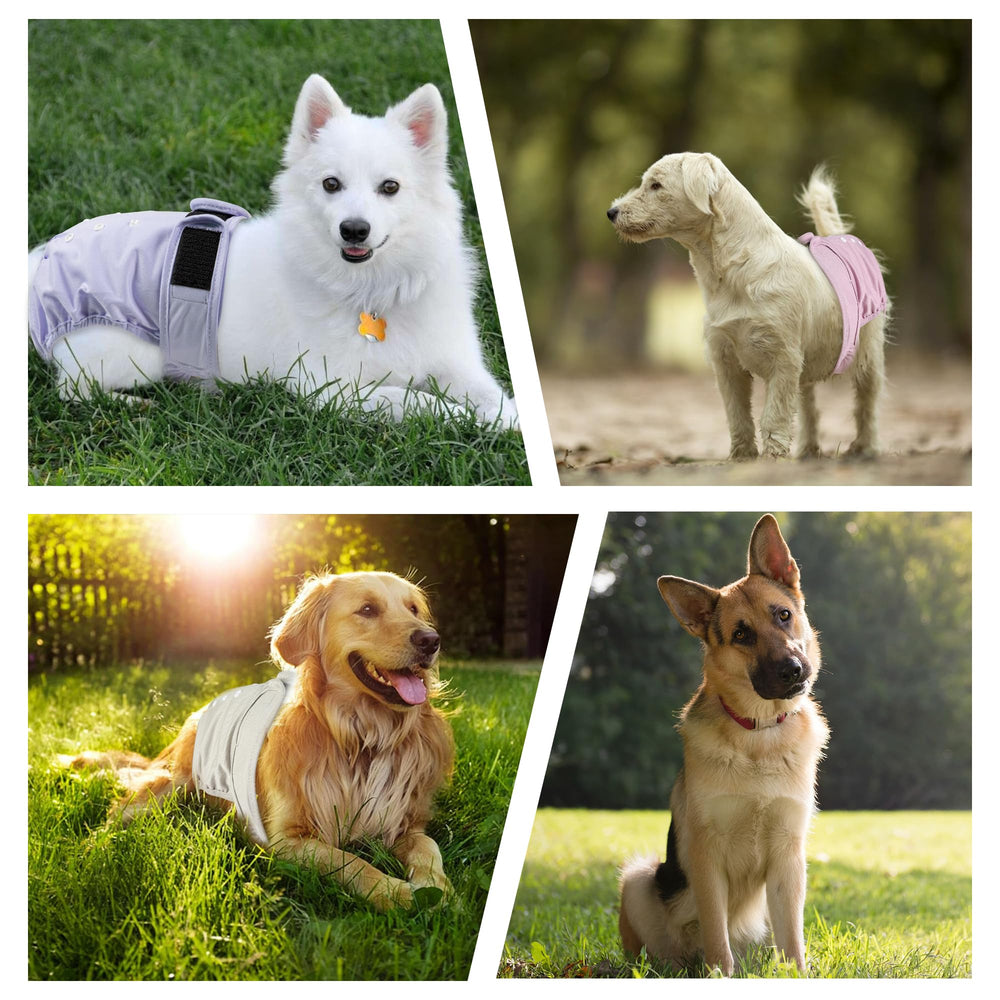ZINGTERRA dog diaper pack side view, comfortable daily wear