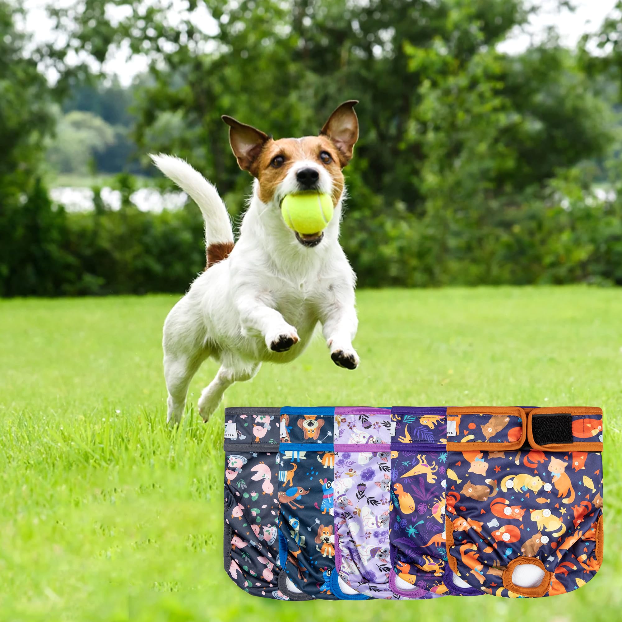 ZINGTERRA sizes from S to XXL fit many breeds