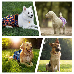 ZINGTERRA female dog diaper close-up shows soft fabric and leak-proof design