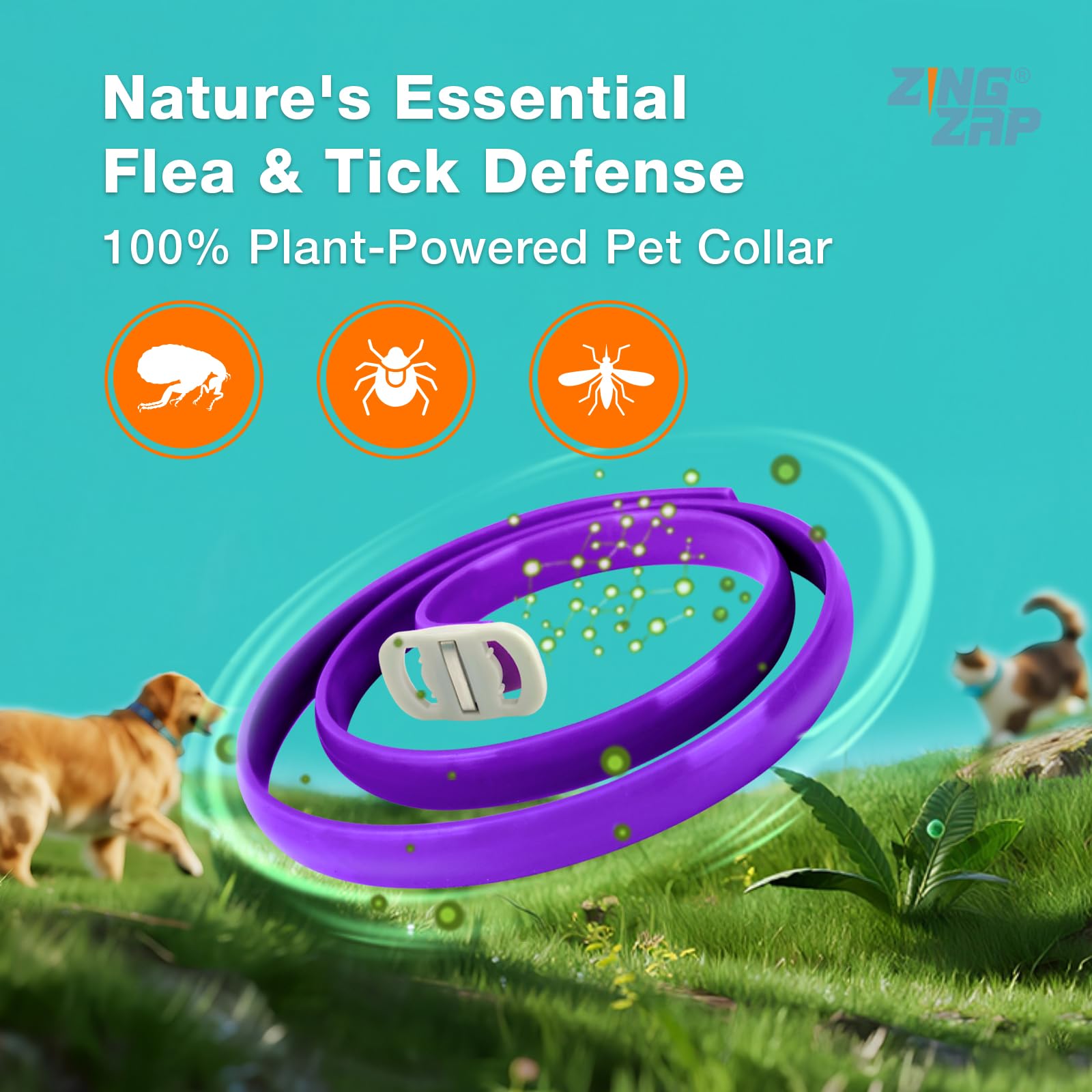 ZingZap adjustable purple collar fits many sizes for kittens to large dogs.
