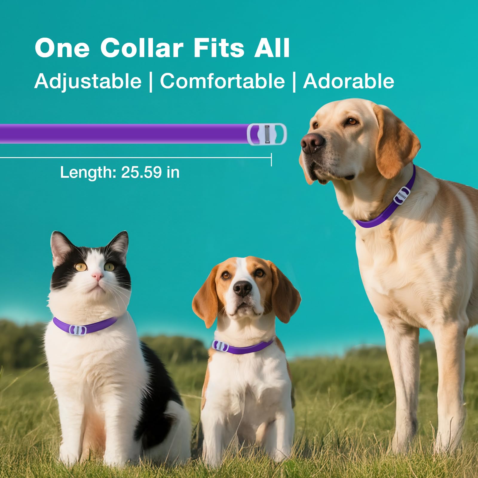 ZingZap waterproof design keeps protection through rain, baths, and outdoor adventures.