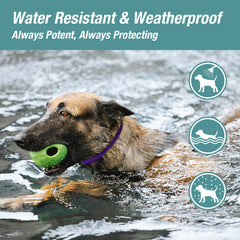 ZingZap blue collar is waterproof for all-weather wear.