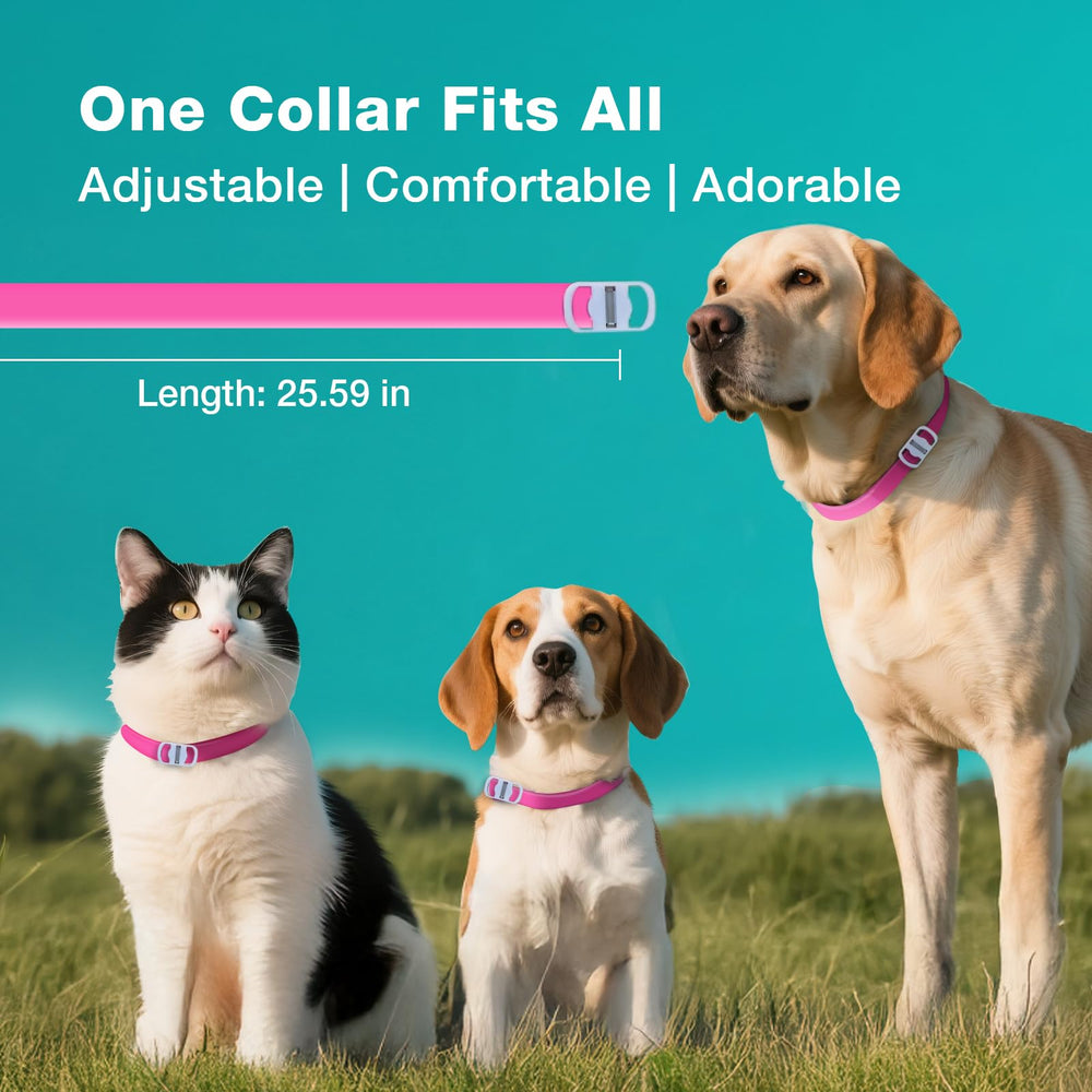 ZingZap pink collar close-up buckle shows secure, adjustable design.