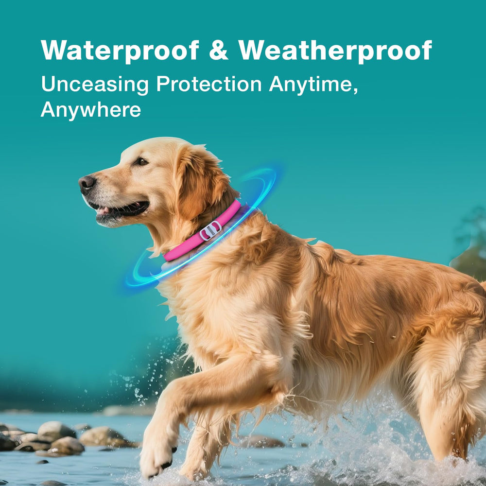ZingZap pink collar close-up emphasizes embedded plant-based formula.