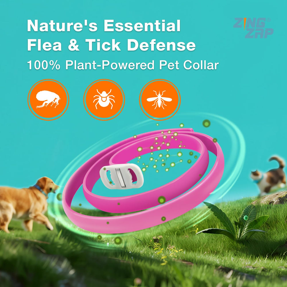 ZingZap pink collar worn on dog demonstrates continuous protection.