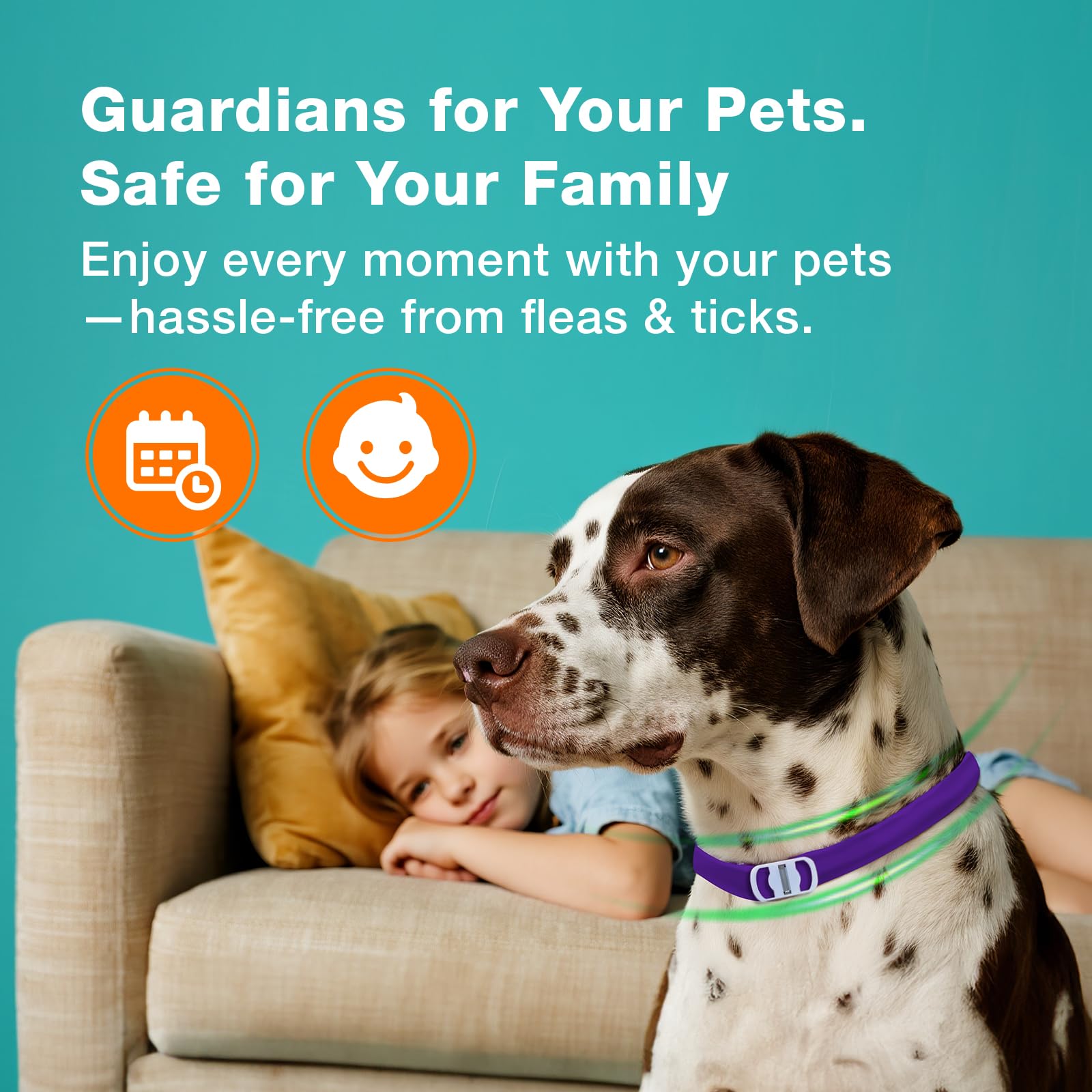 ZingZap collar on a pet demonstrates everyday bite protection during walks.