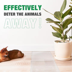 Zipcase interlocking scat mat squares provide scalable 12 sq ft coverage.