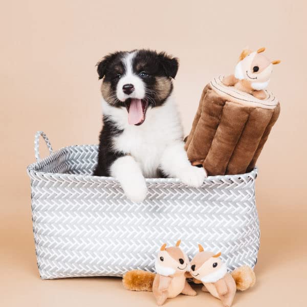 ZippyPaws Burrow puzzle play: interactive toy reduces boredom with hide-and-seek sessions.