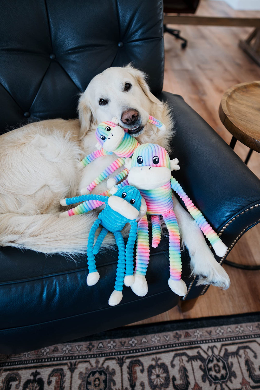 ZippyPaws Crinkle Monkey rainbow-blue small squeaker close-up boosts playful sounds.