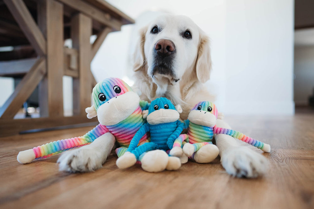 ZippyPaws Crinkle Monkey rainbow-blue small textured fabric emphasizes soft, safe material.