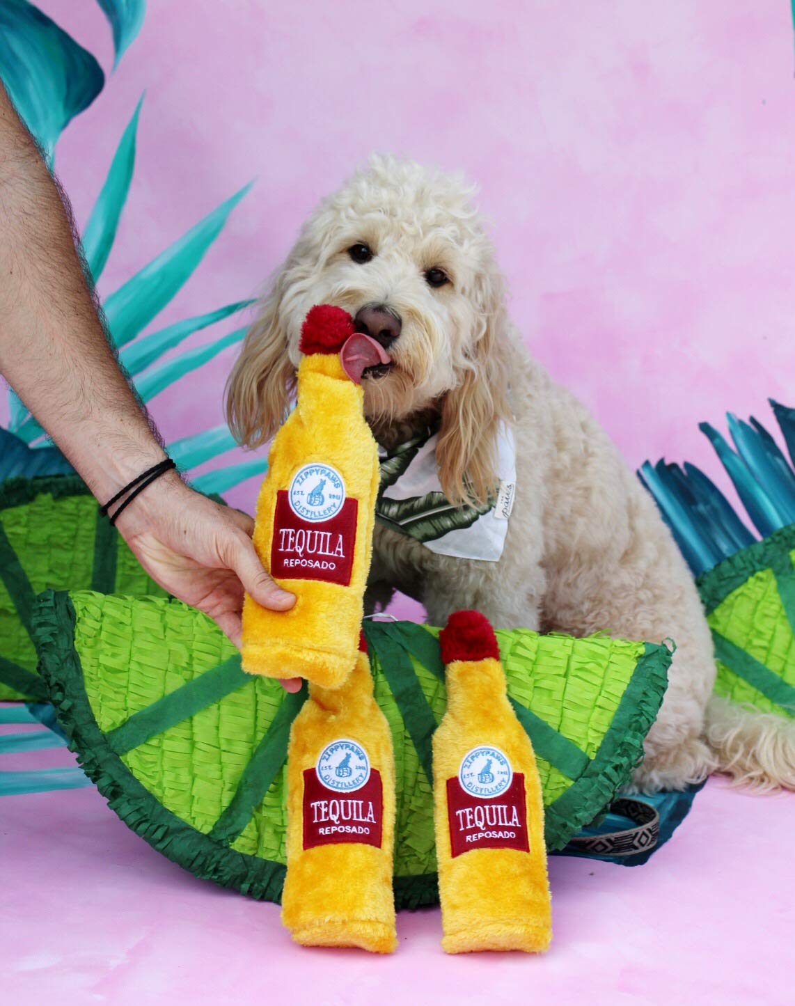 ZippyPaws Happy Hour Crusherz stuffing-free design highlights mess-free enjoyment