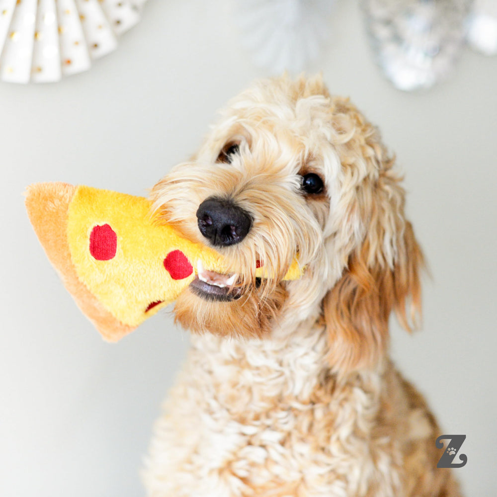 NomNomz pizza toy in crate offers calm, focused play opportunities.