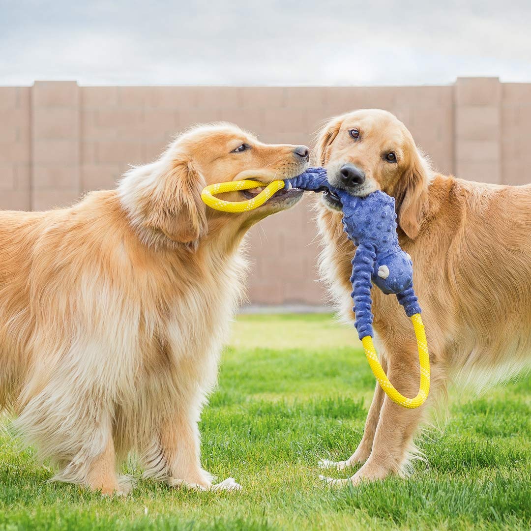 ZippyPaws RopeTugz heavy-duty rope ensures durable pulling sessions for energetic dogs.