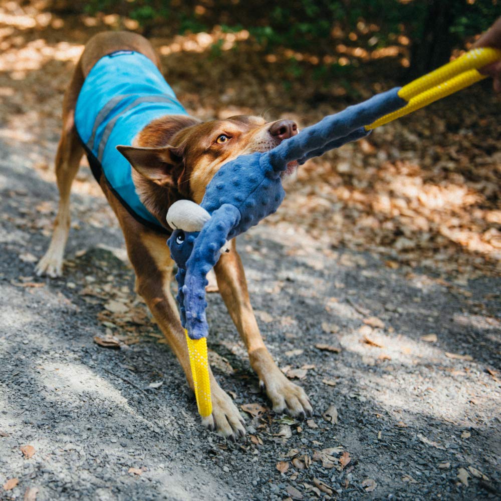 ZippyPaws RopeTugz soft plush core balances cuddly comfort with sturdy rope.