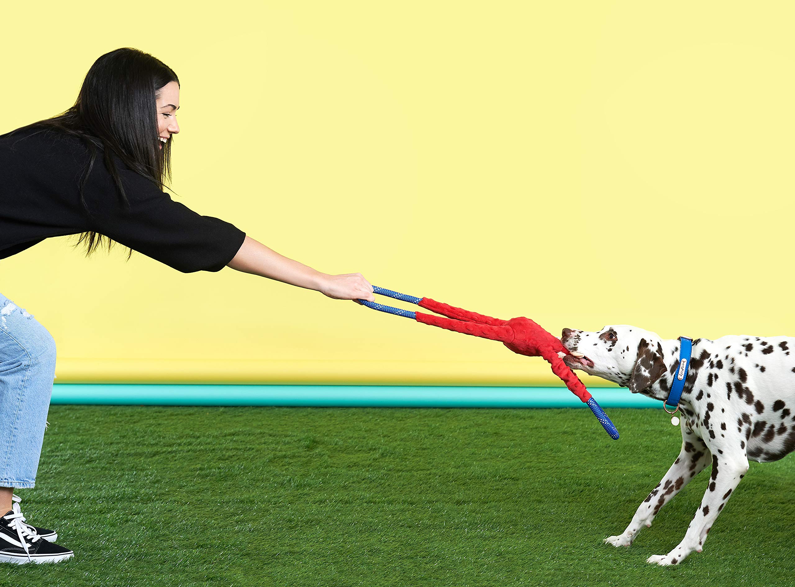 ZippyPaws RopeTugz squeaker keeps dogs engaged for hours.