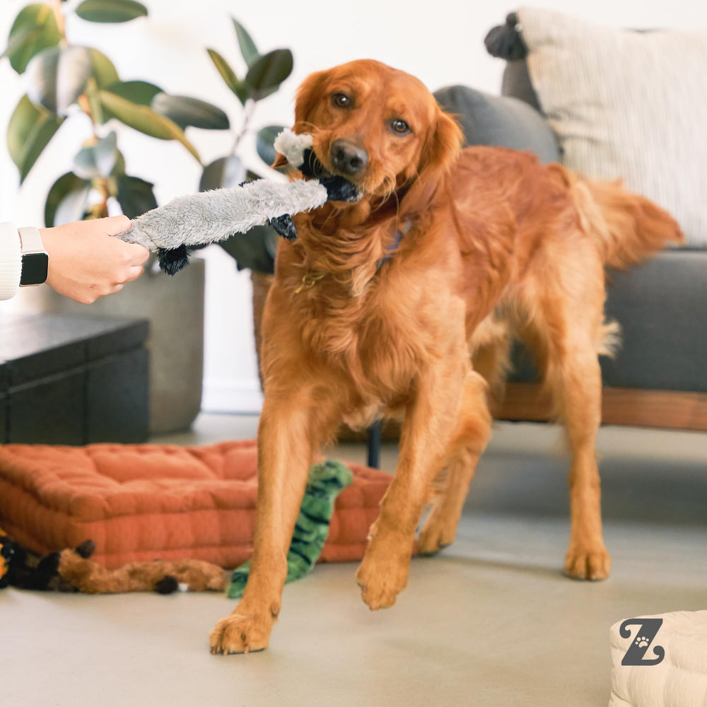 ZippyPaws Skinny Peltz soft plush exterior offers cuddly comfort during play breaks