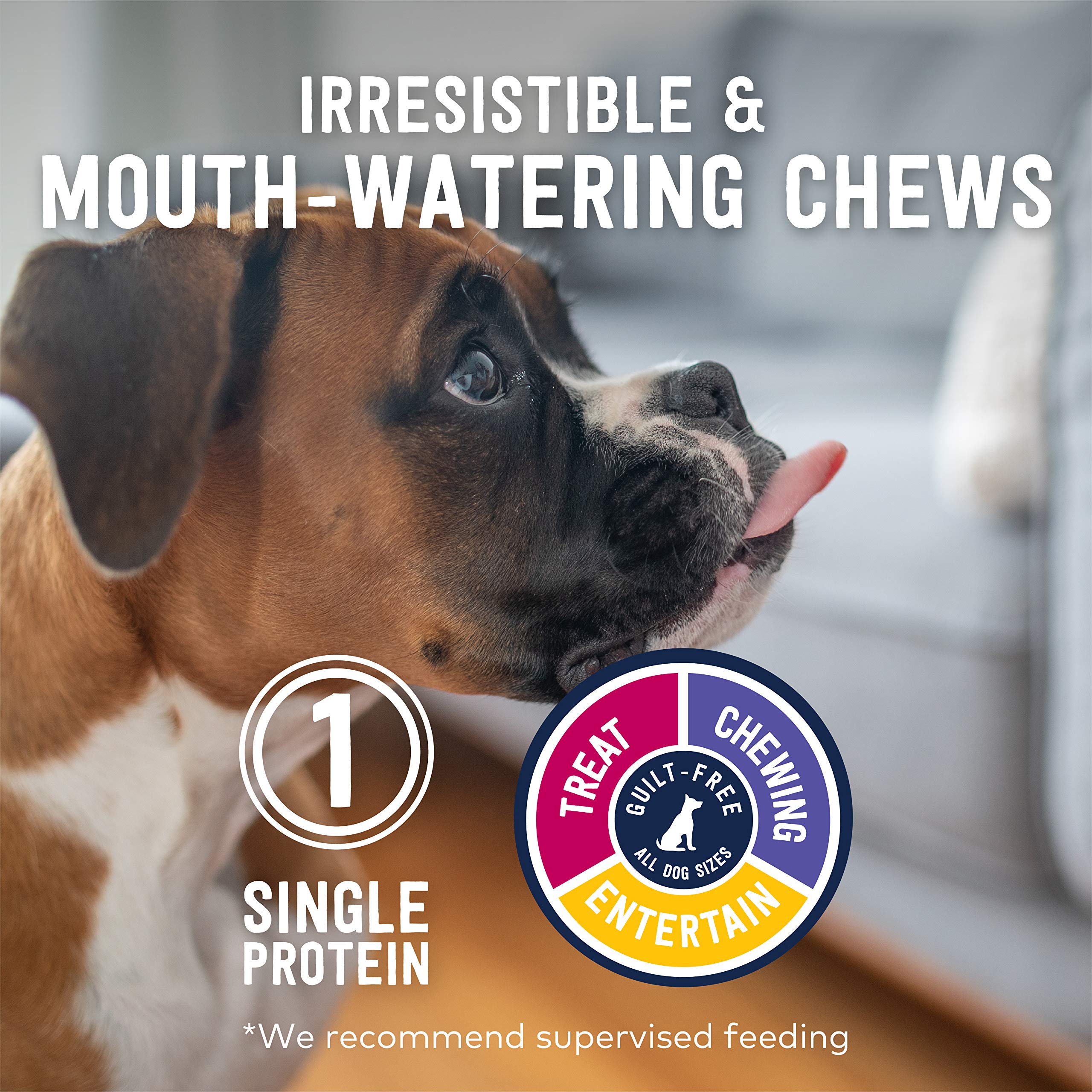 ZIWI Lamb Trachea close-up highlighting high-protein, single-ingredient chew.