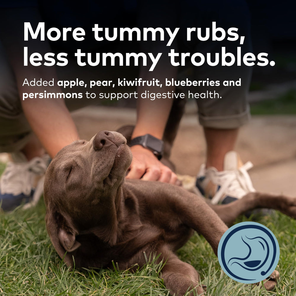 ZIWI Peak fruits and chicory root highlight digestive-support ingredients