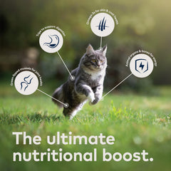 ZIWI Peak grain-free formula packaging illustrating allergen-friendly, weight-conscious nutrition.