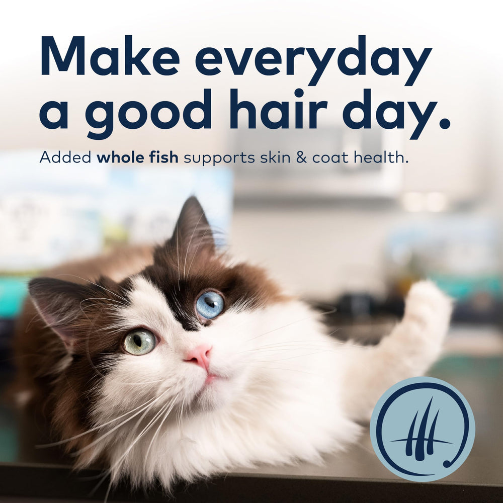 Grain-free texture close-up highlighting a crunchy bite cats enjoy.