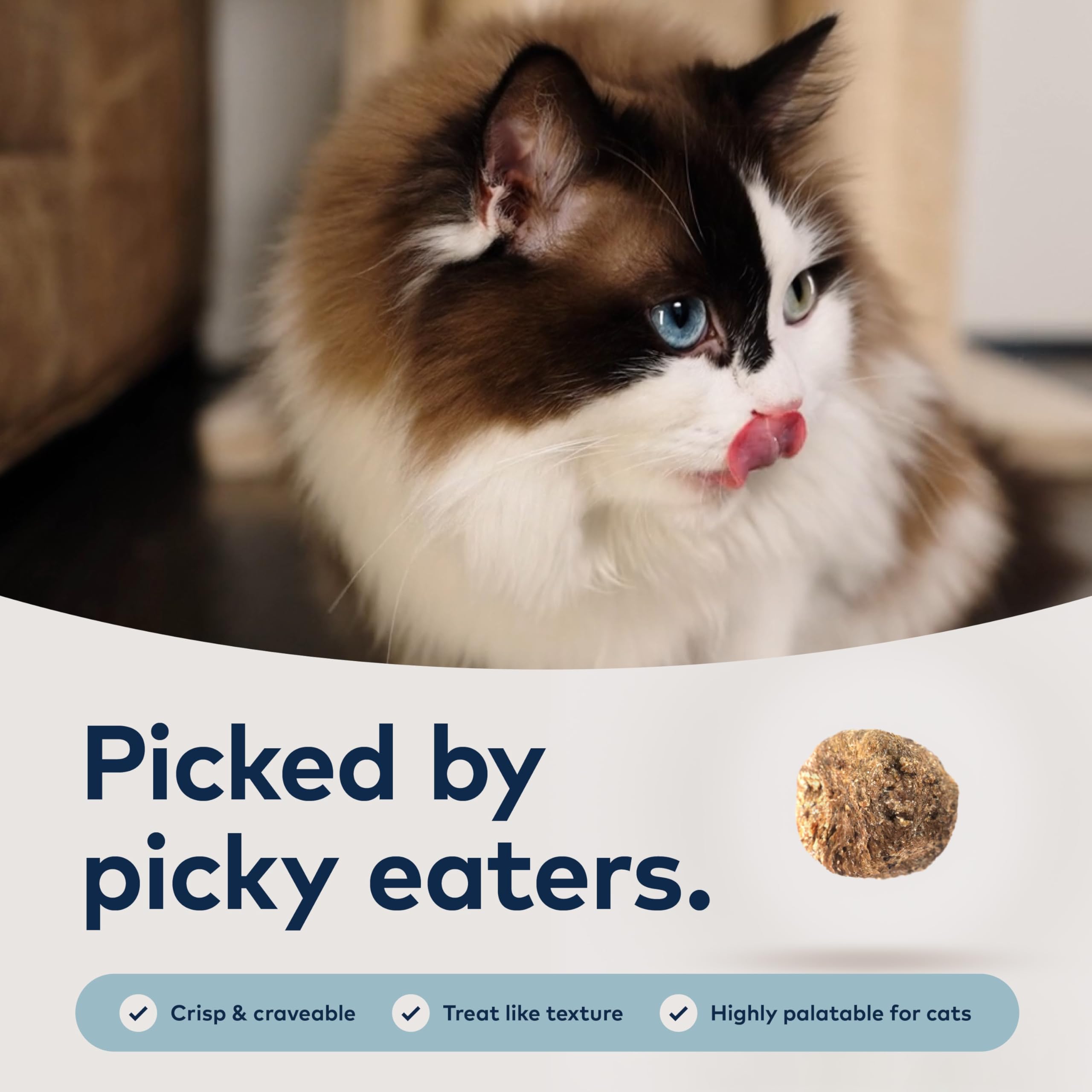 Close-up of crunchy texture shows grain-free, satisfying bite
