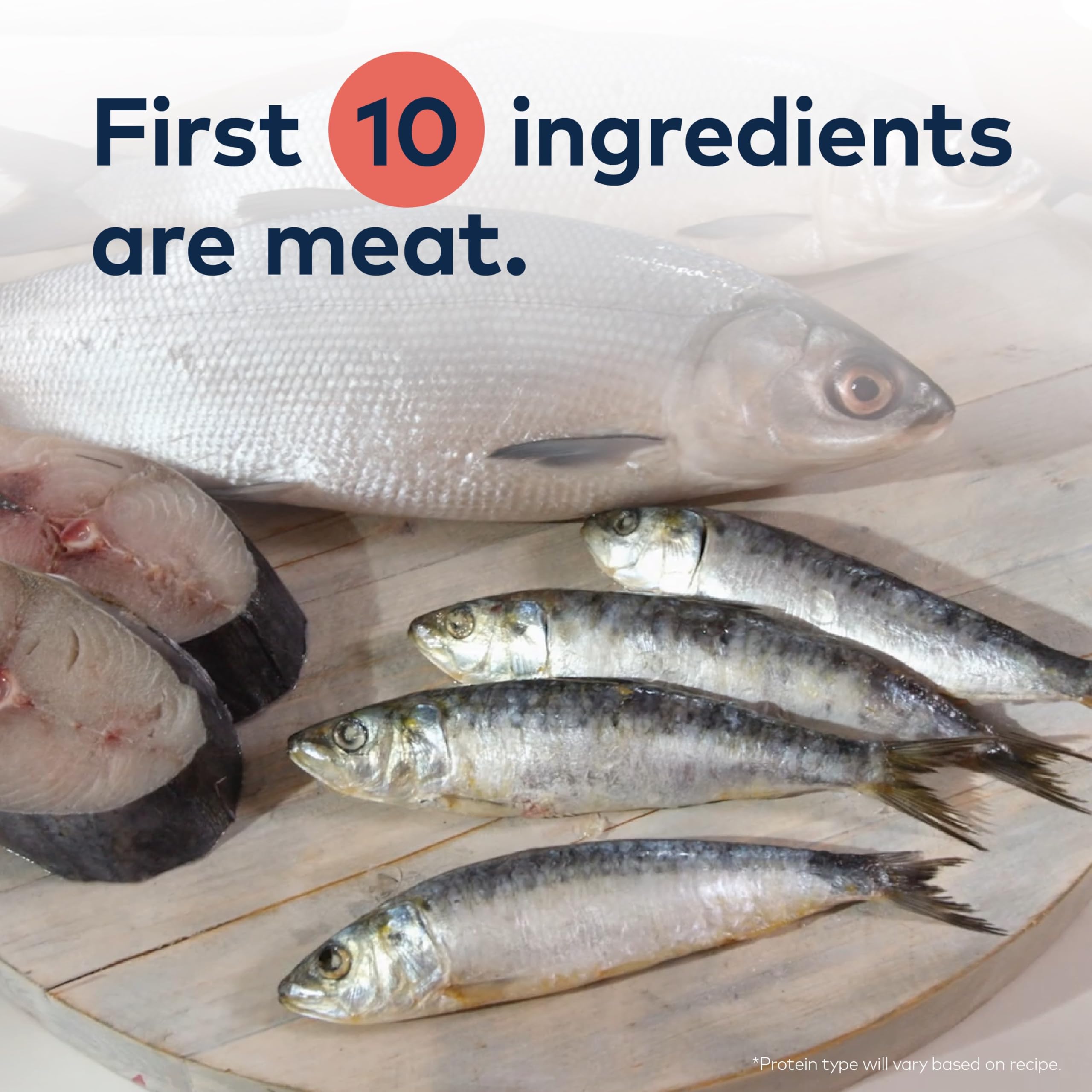ZIWI Peak blue whiting ingredient focus emphasizes omega-3 richness for skin and coat