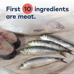 ZIWI Peak blue whiting ingredient focus emphasizes omega-3 richness for skin and coat