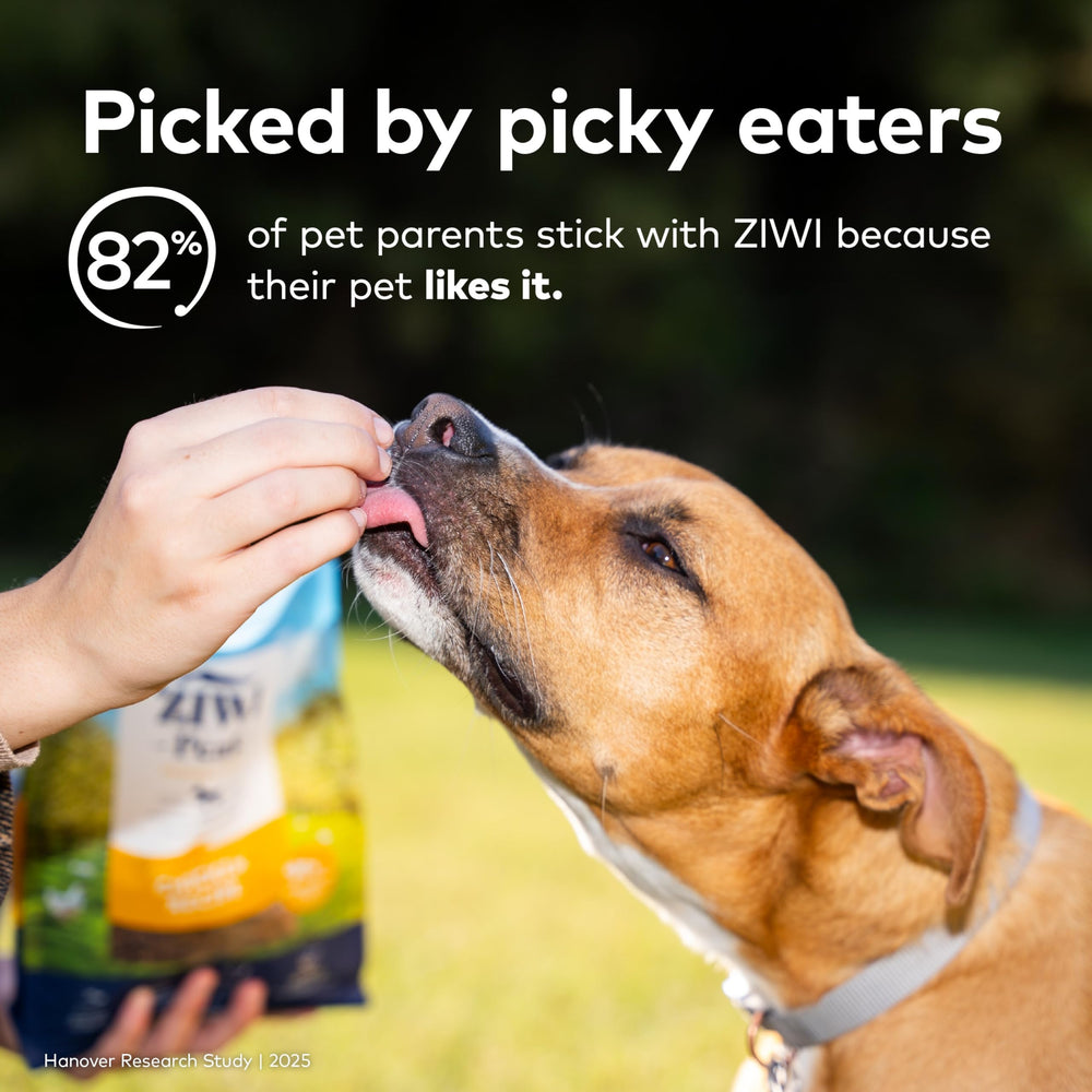 ZIWI Peak meal topper ideas in action for variety.