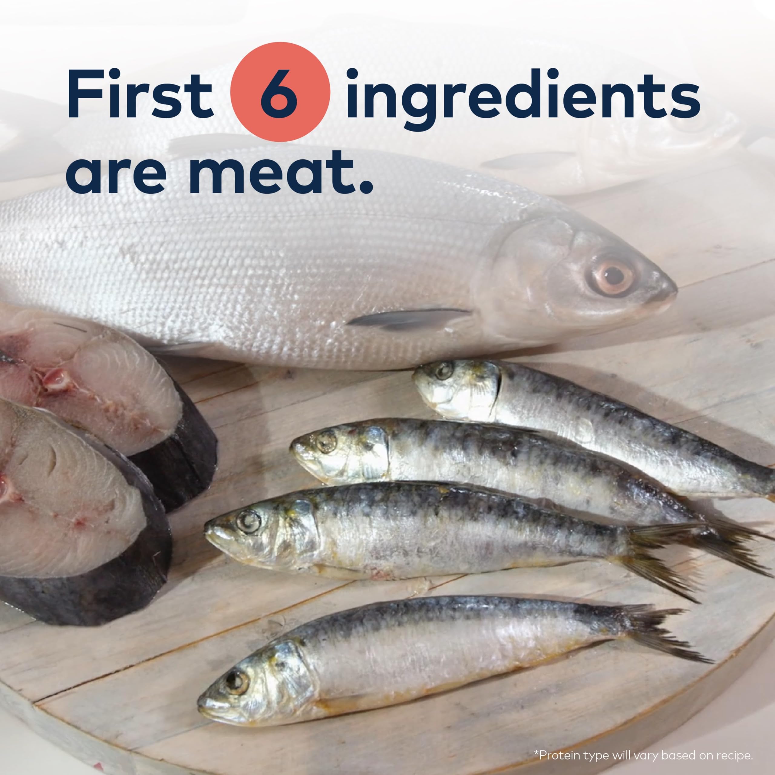 Wild-caught mackerel illustration emphasizing omega-3 richness for a glossy coat.