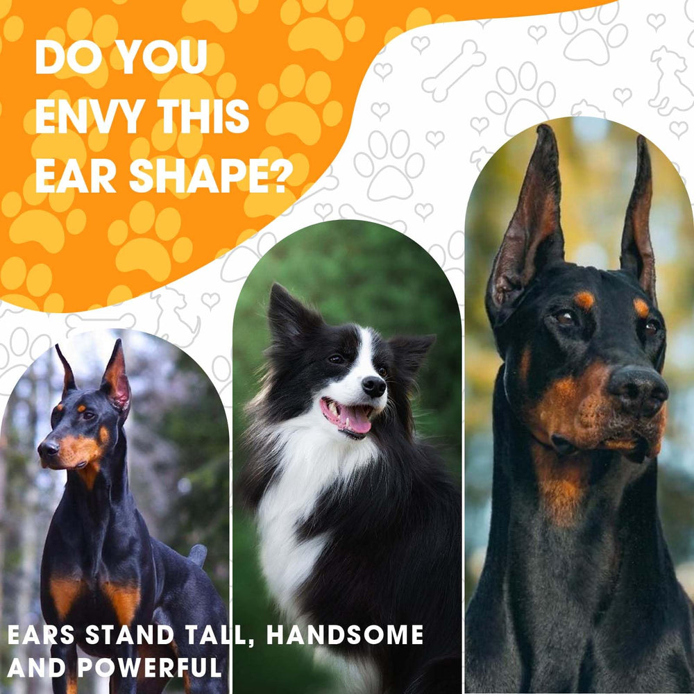 Ziyue Doberman Ear Posting Kit For Breeds: suitable for Dobermans, Samoyeds, and similar dogs