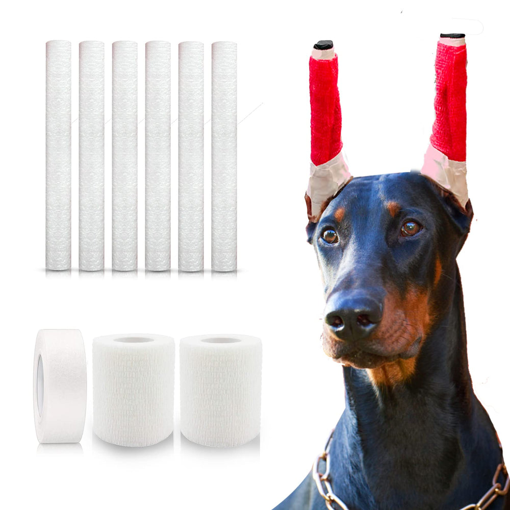 Ziyue Doberman ear posting kit packaging shows a complete at-home setup.