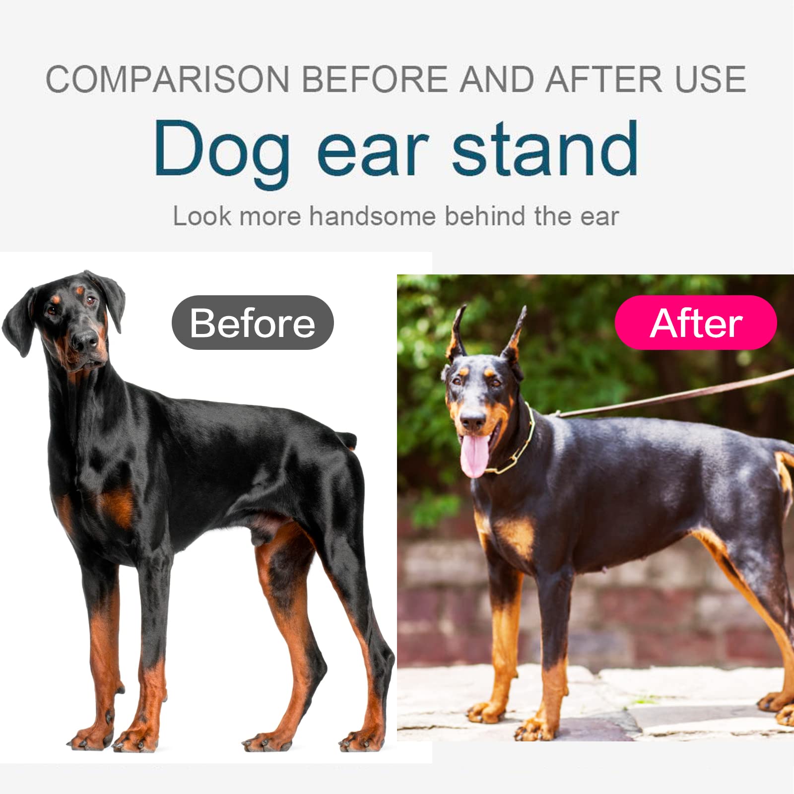 Ziyue Doberman ear posting set helps shape the ears.
