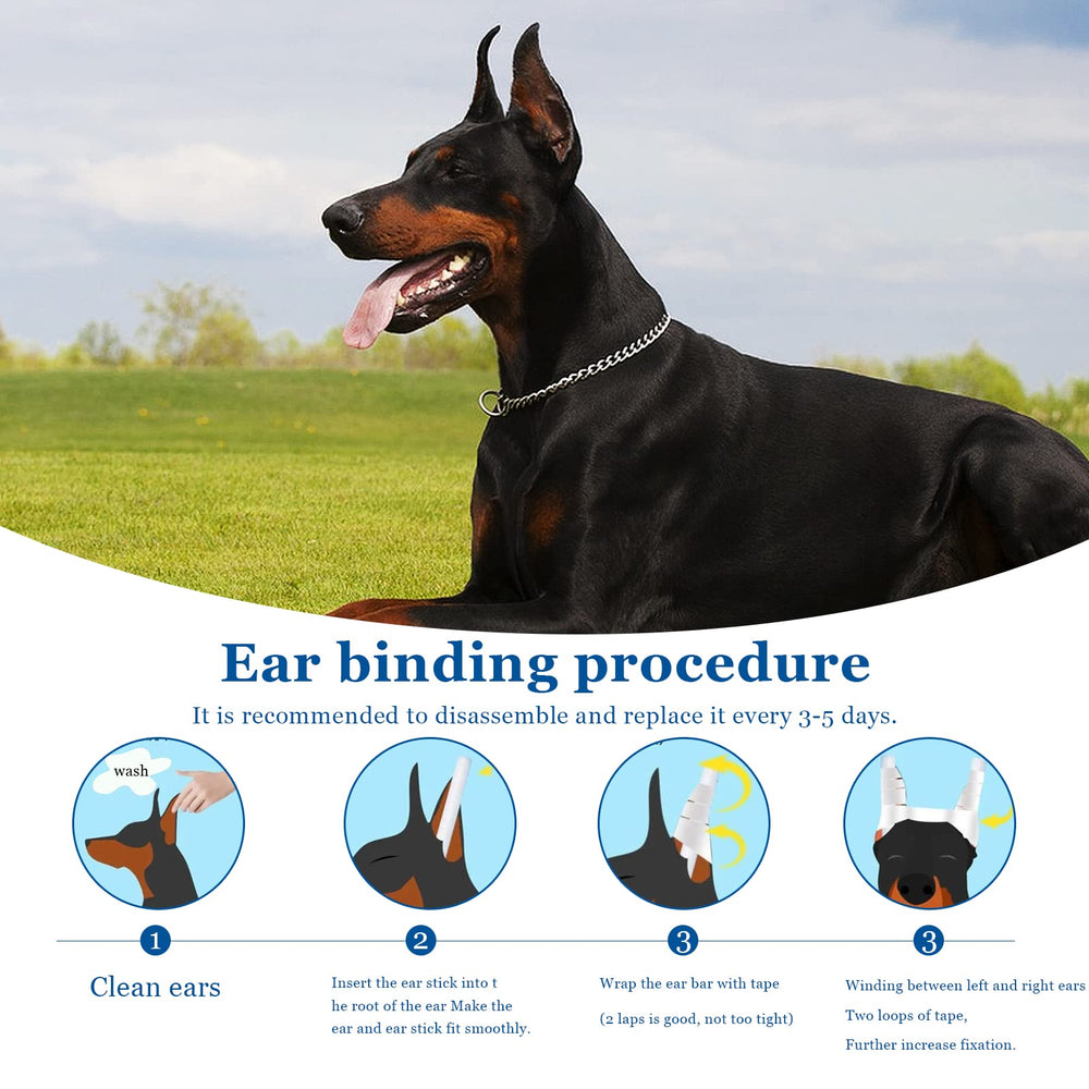 Ziyue dog ear stand-up tape helps ears stay aligned.