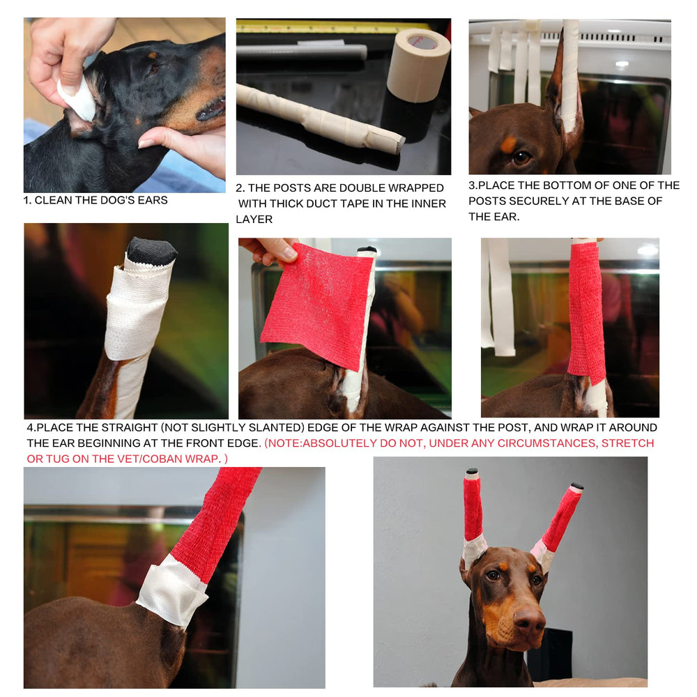 Ziyue dog ear care tool shown in simple, safe setup.